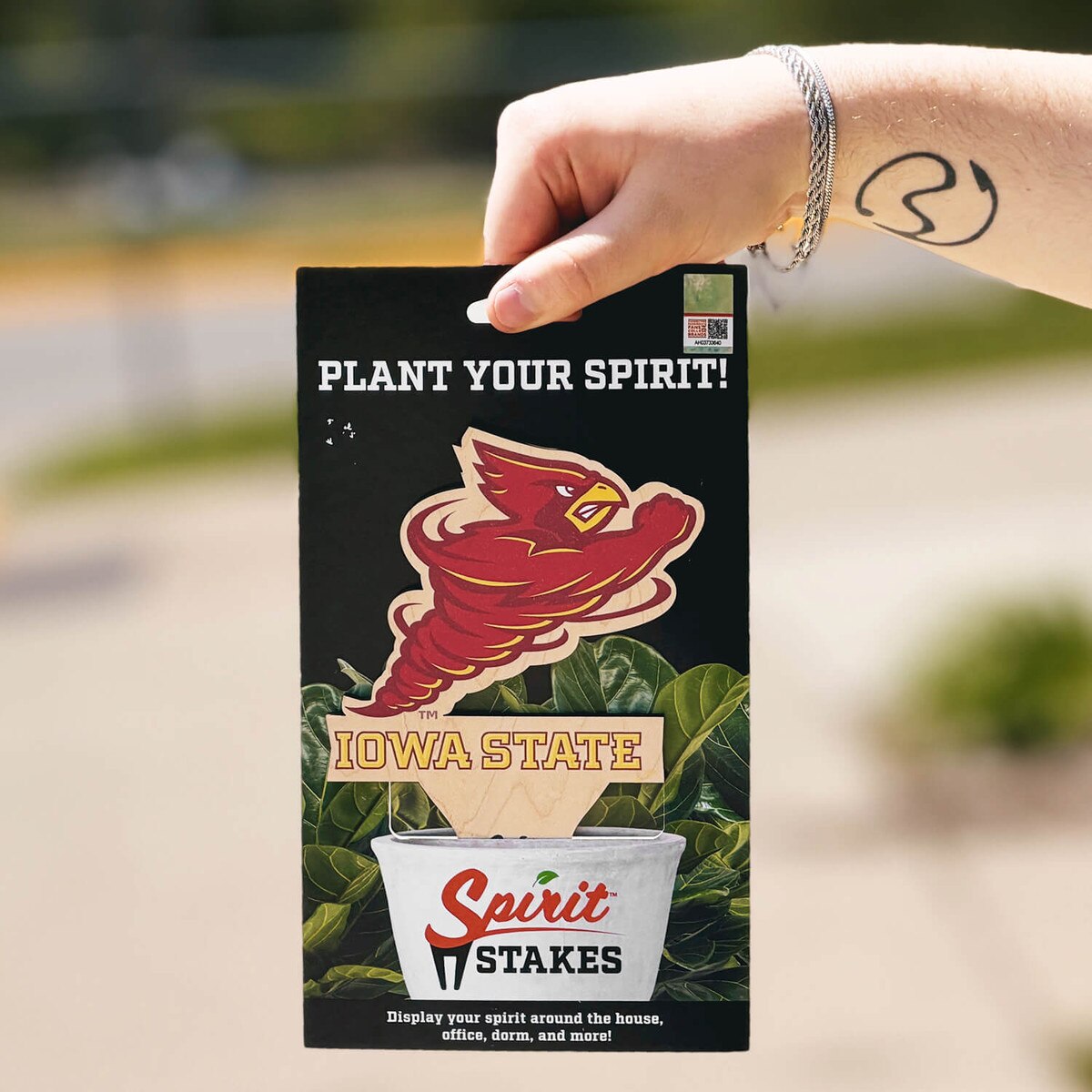 Punching Cy Cardinal and Gold Spirit Stakes Medium 7-inch x 5-inch